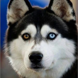 Meet your Posher, Cierra